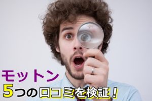 モットンの怪しい口コミを実際に購入して解明【腰痛への本当 ...