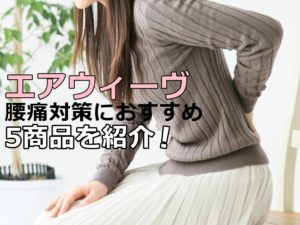 エアウィーヴ は高いけど腰痛に効果あるの?口コミでの評判を ...